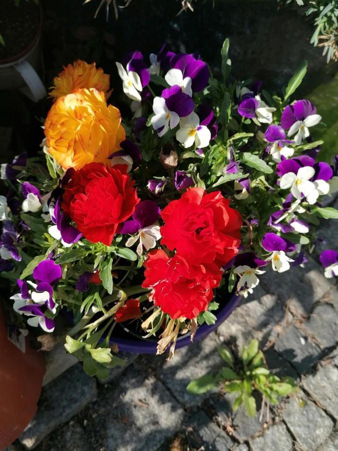 Nad Parseta Apartamento Kołobrzeg
